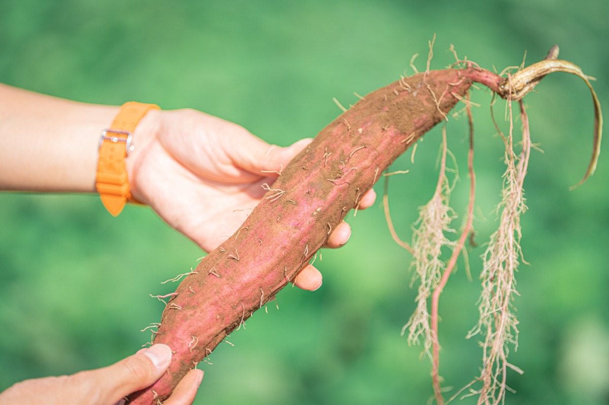 ABURATA BASE棟 素泊まりプラン - 61