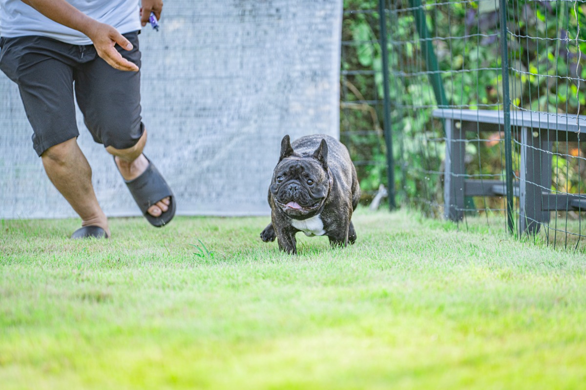 HANABI/ABURATA BASE貸し切り - 10