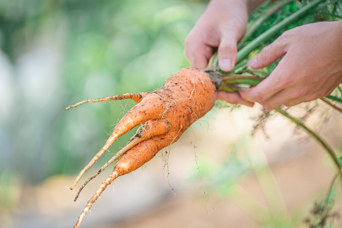 HANABI/ABURATA BASE貸し切り - 12