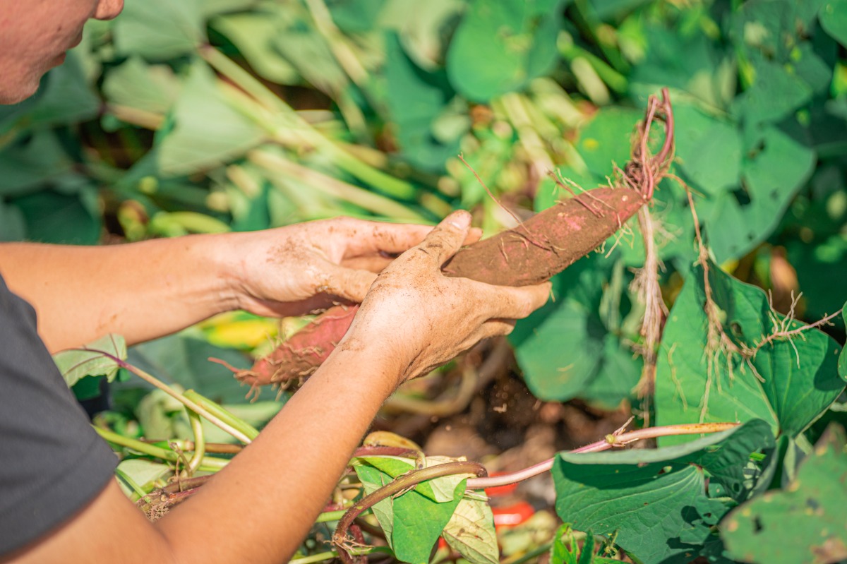 HANABI/ABURATA BASE貸し切り - 13