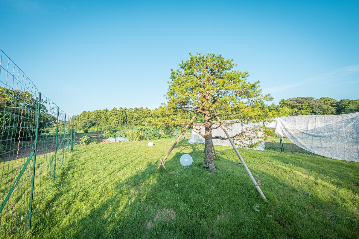 HANABI/ABURATA BASE貸し切り - 114