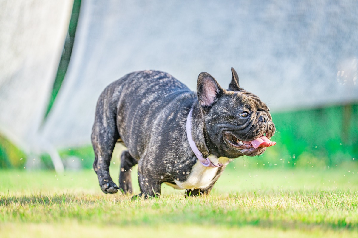 HANABI/ABURATA BASE貸し切り - 117