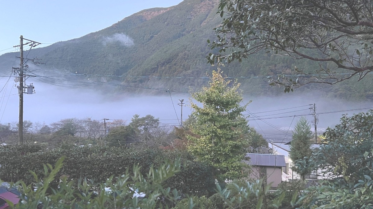 宿 にしむら - 48