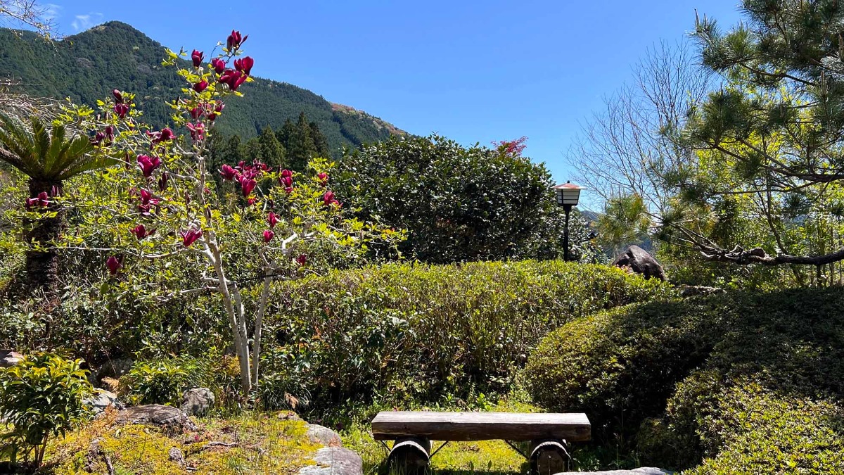 宿 にしむら - 53