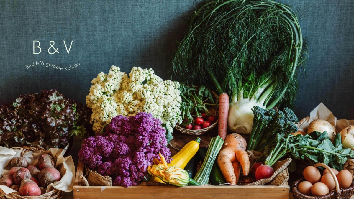 Bed & Vegetable Kahoku - 2