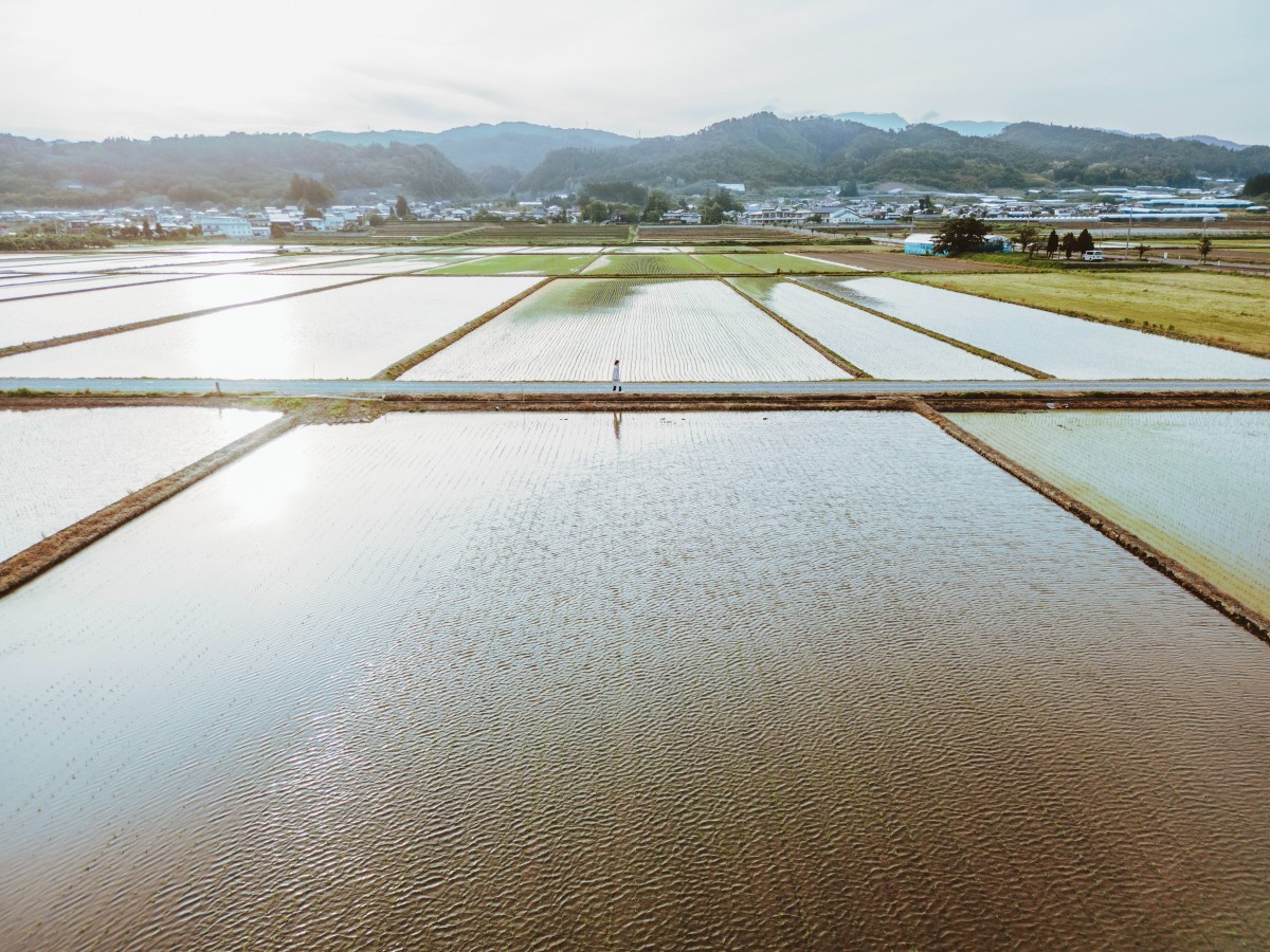 【素泊まりプラン】素泊まり+温泉チケット付き