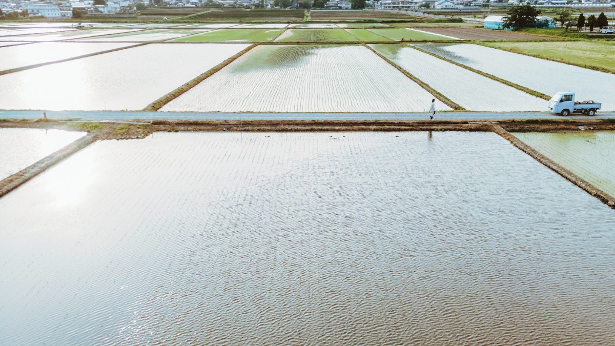 公式価格│素泊まり│素泊まり+温泉チケット付き