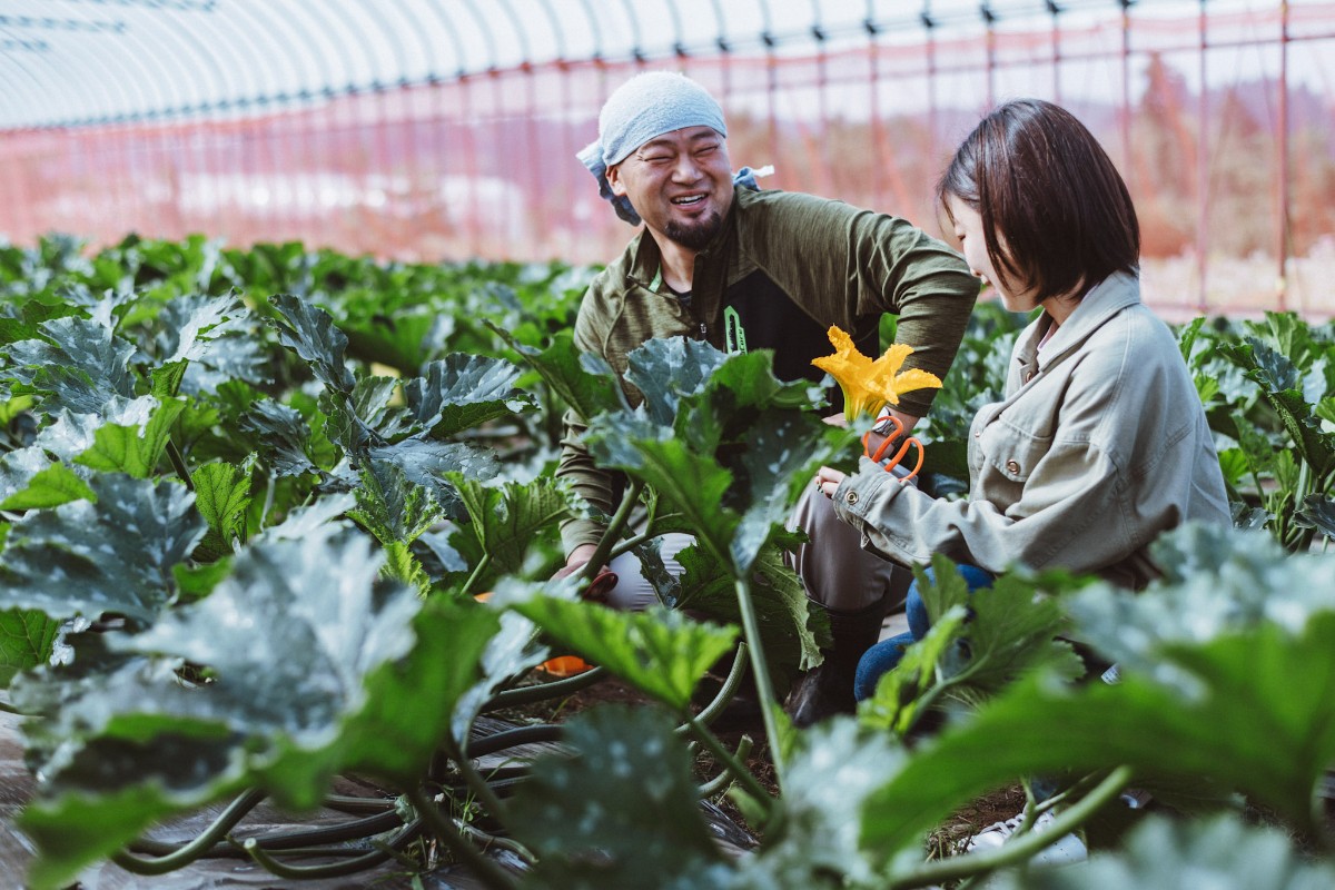 【手ぶらOK！春夏の収穫体験プラン】　温泉チケット&朝食付き