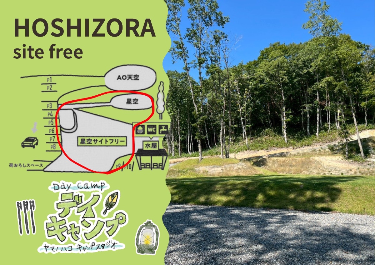 【デイキャンプ】星空フリー