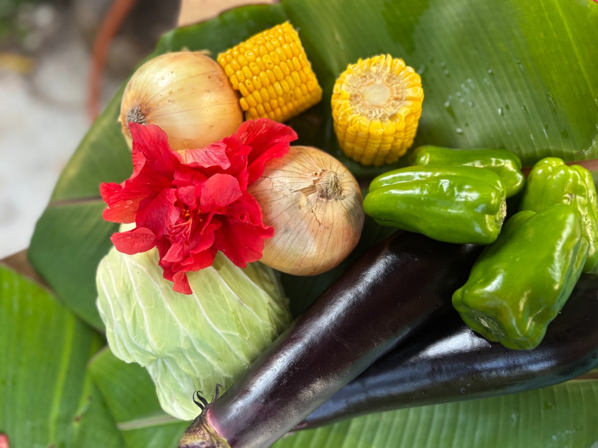 日帰り/ガーデンBBQ - 3