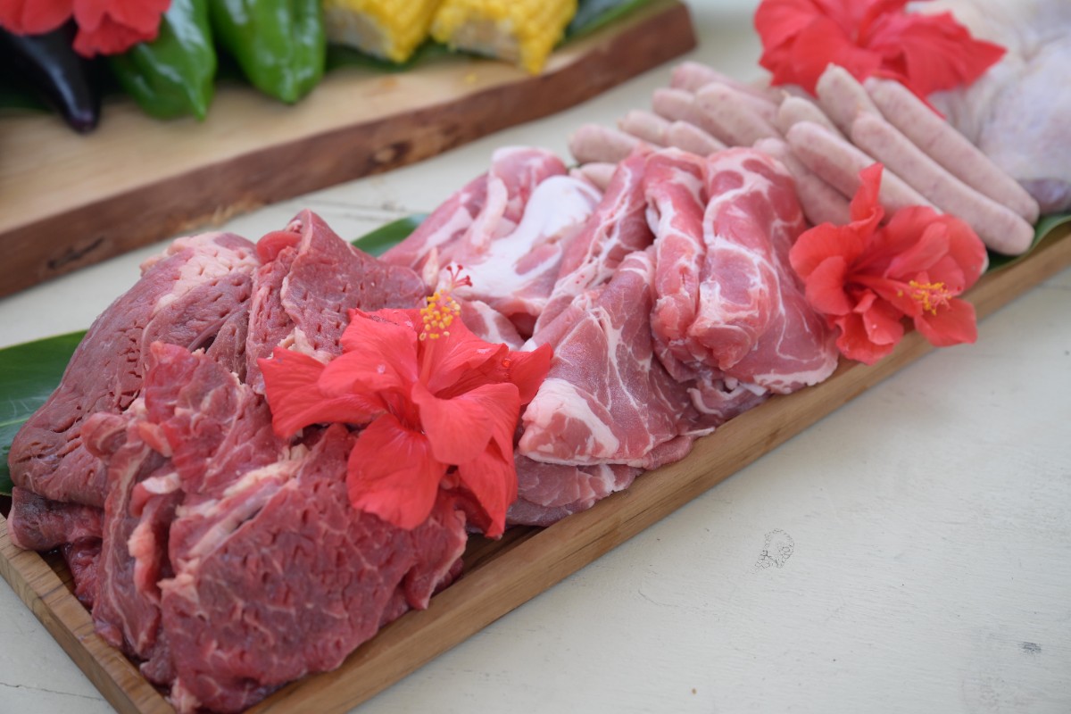 日帰り/プレミアムガーデンBBQ - 3