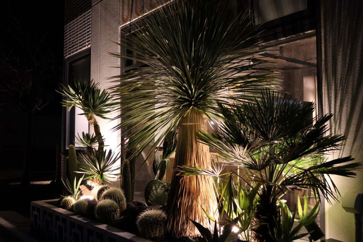 THE MILL STUDIO HOTEL - 4