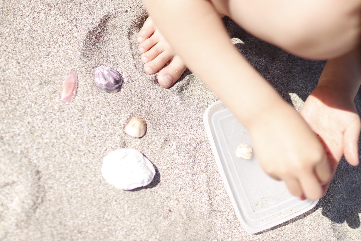 一棟貸宿　月日貝