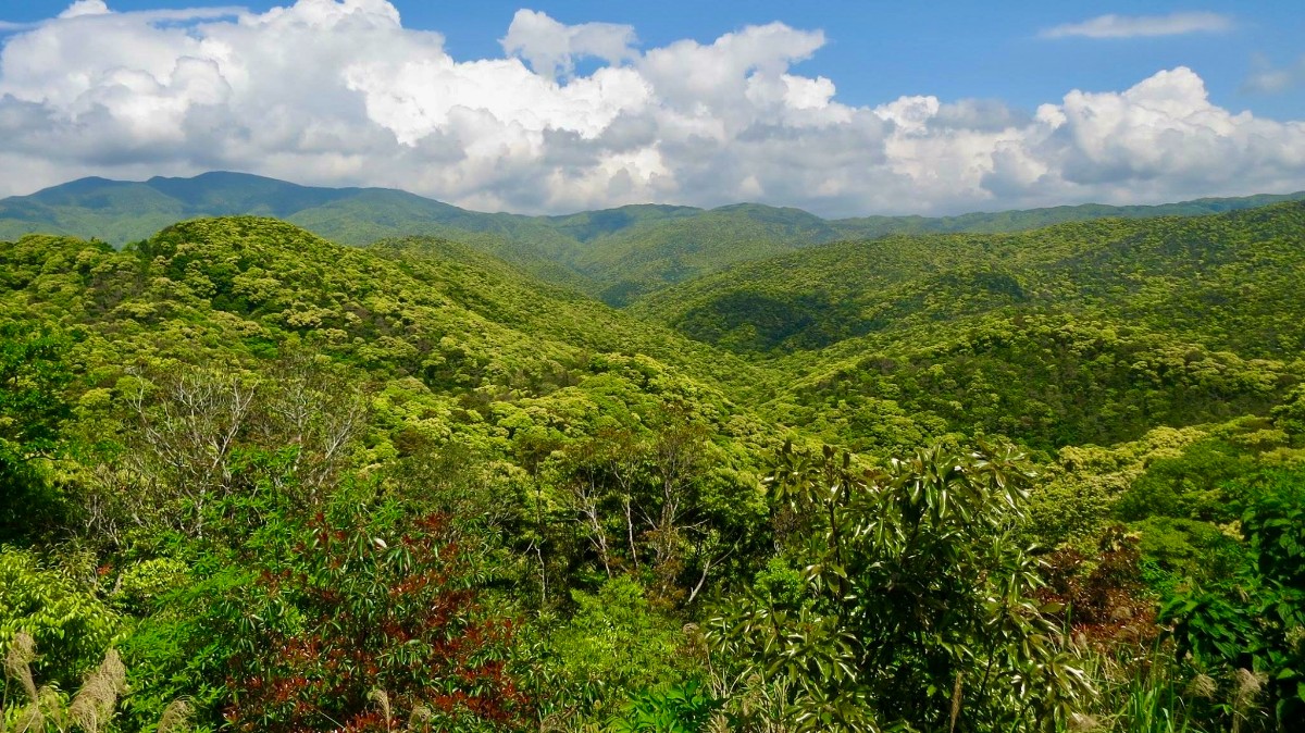 月みるいえ tsukimiru_ie