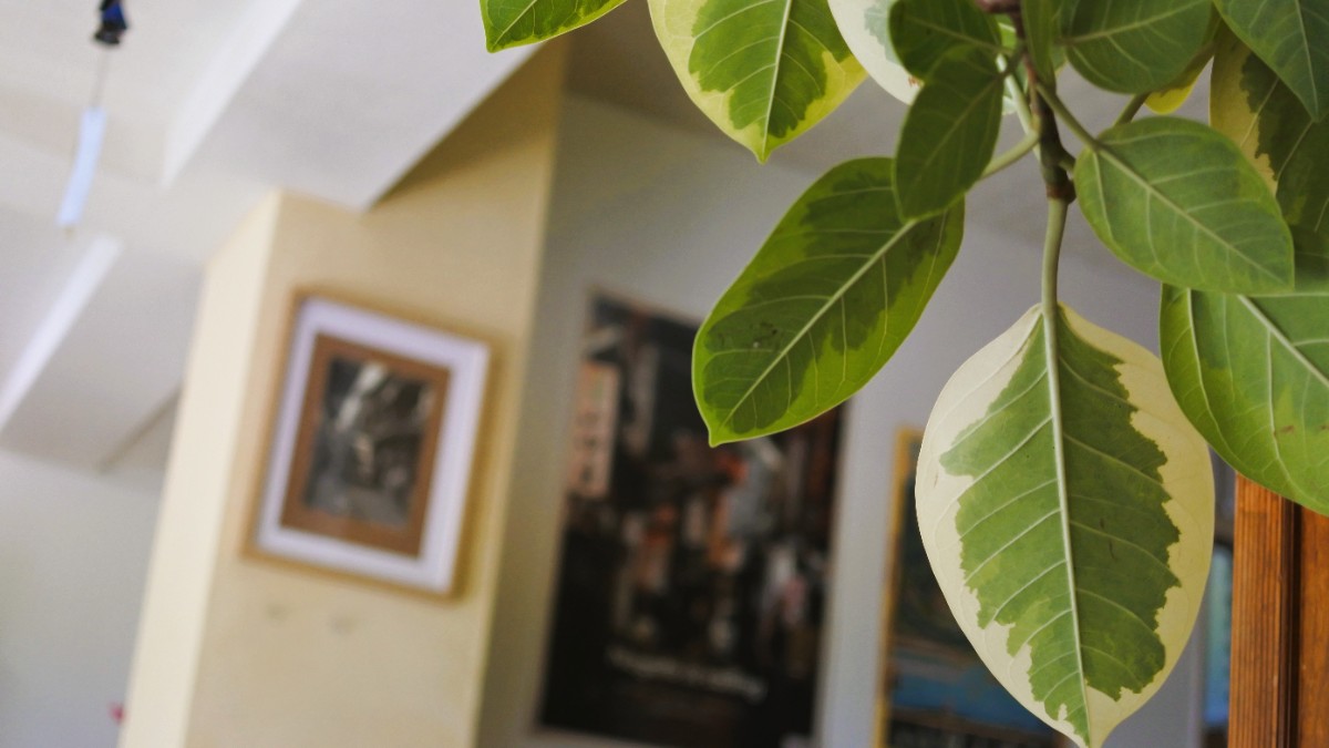 俵山まちごと旅館 - 12