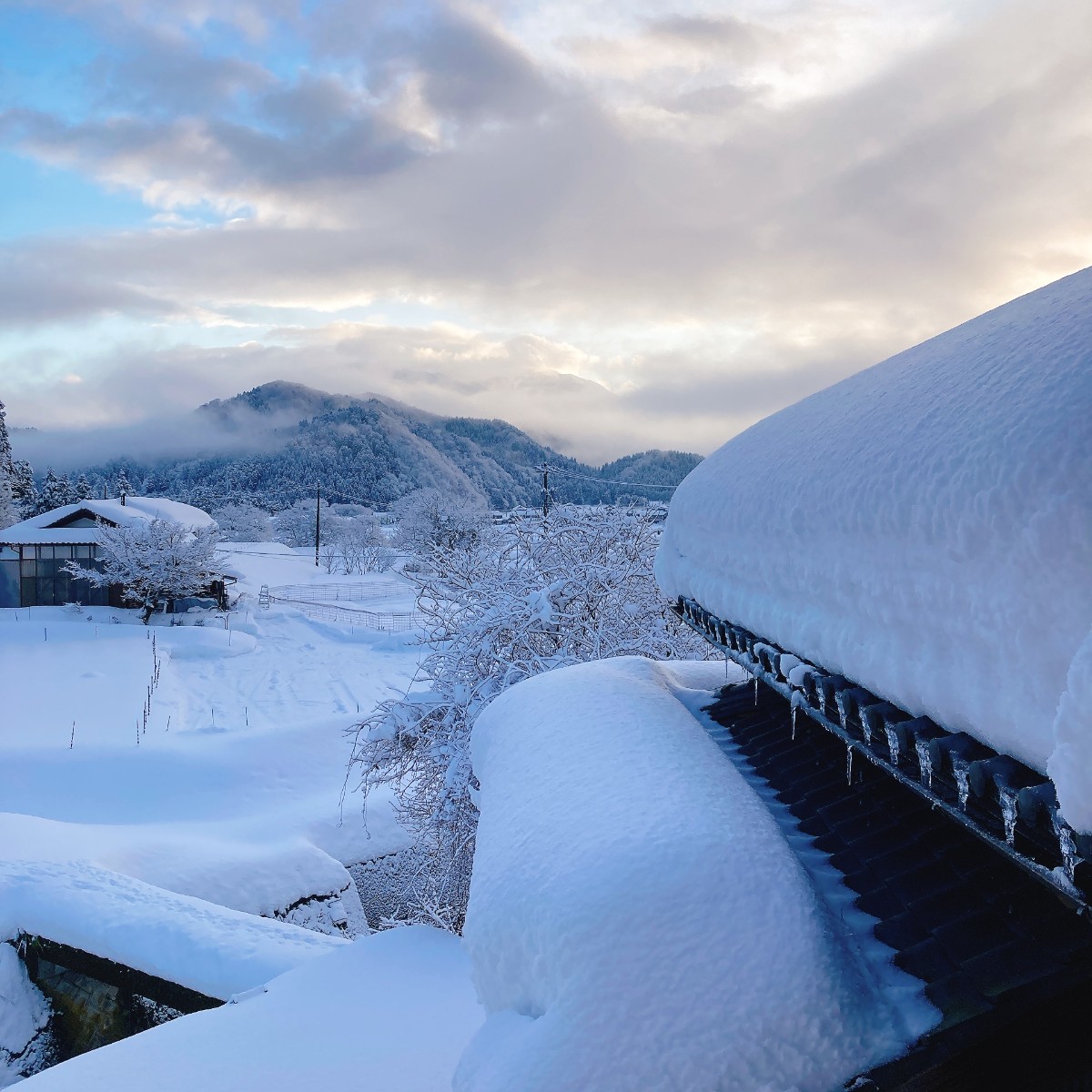 おこもりプラン～包む～ - 3