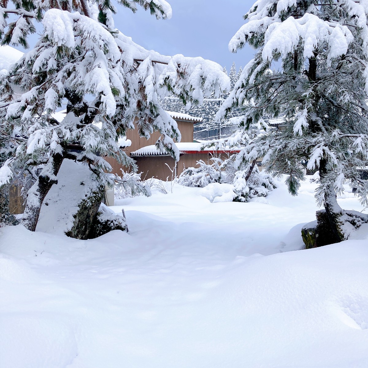 おこもりプラン～包む～ - 4