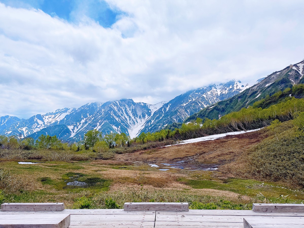雪の  荘|Hakuba Hospitality Inn YUKINOSO - 9