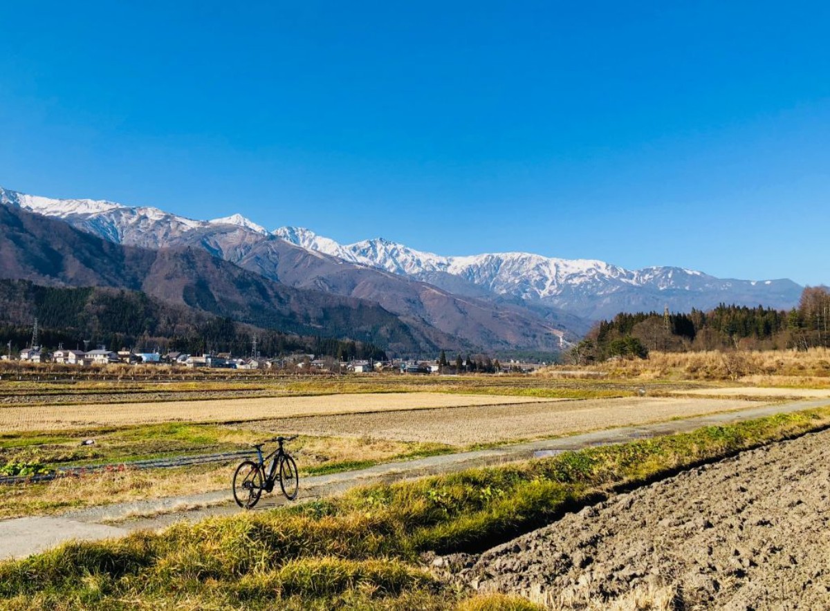 雪の荘|Hakuba Hospitality Inn YUKINOSO - 11