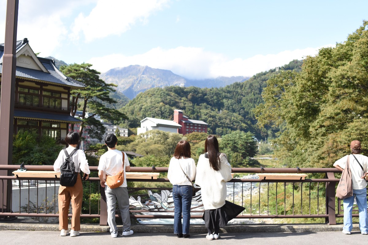 matatabi