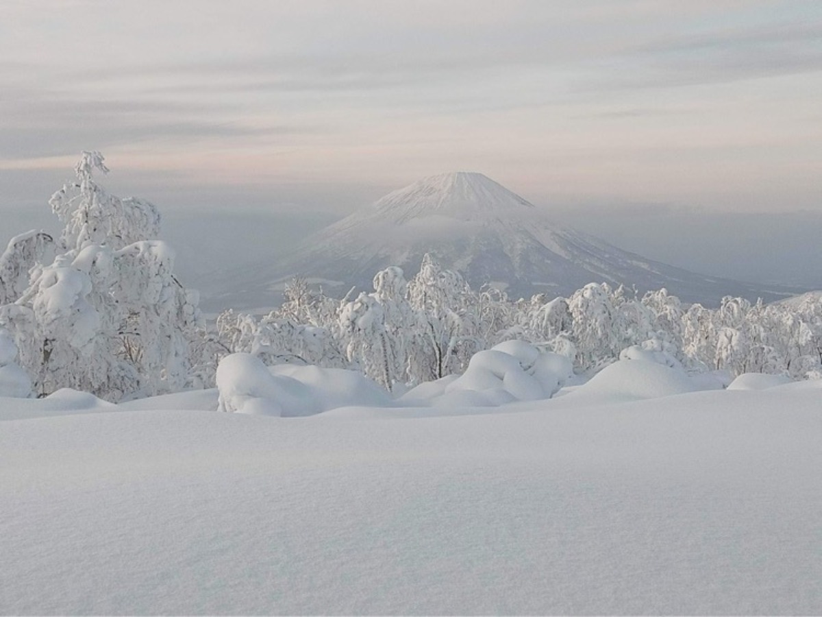 Rusutsu Ski Stay111 - 2