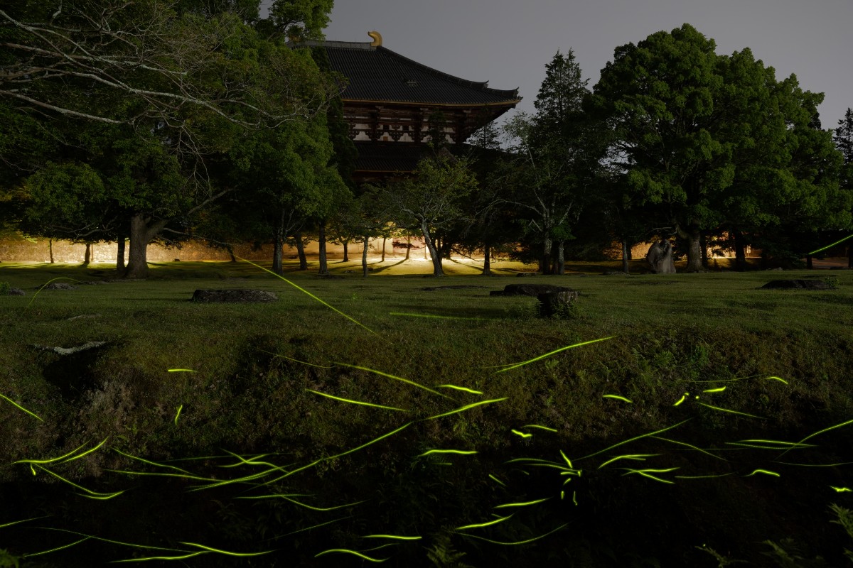 【開業記念30% off】リブハートハウス