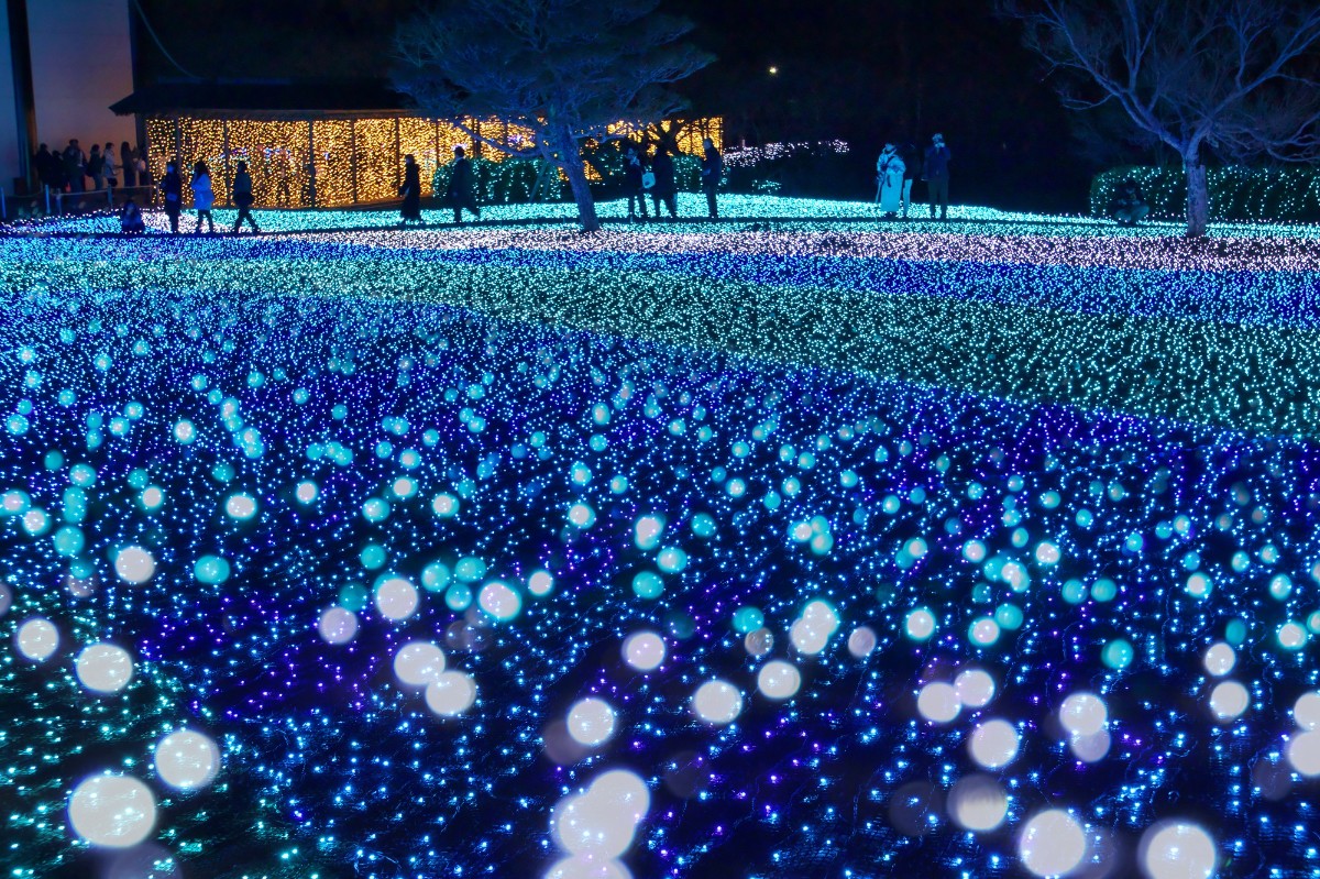 【開業記念30% off】リブハートハウス