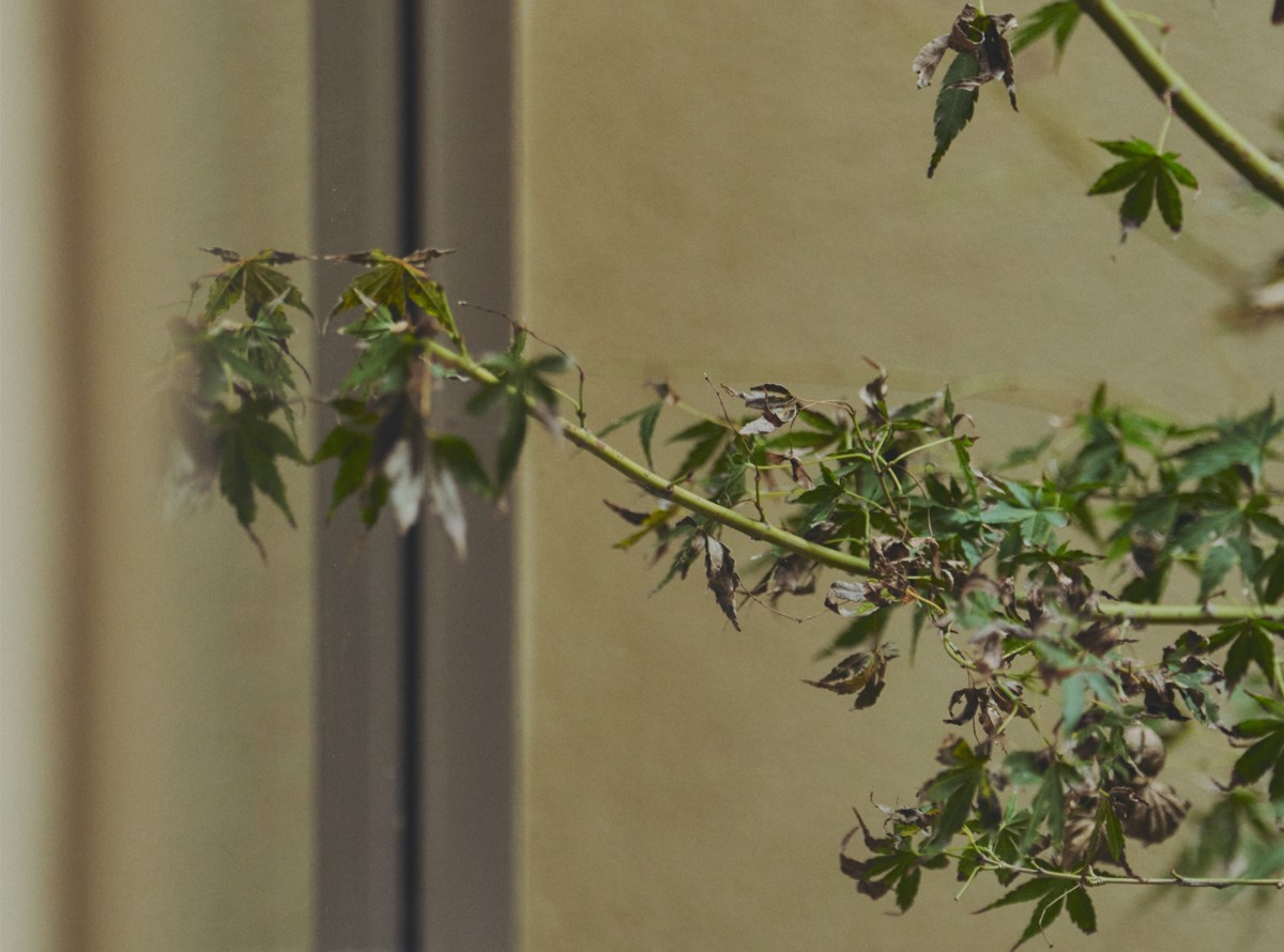 メゾネットツイン - 6