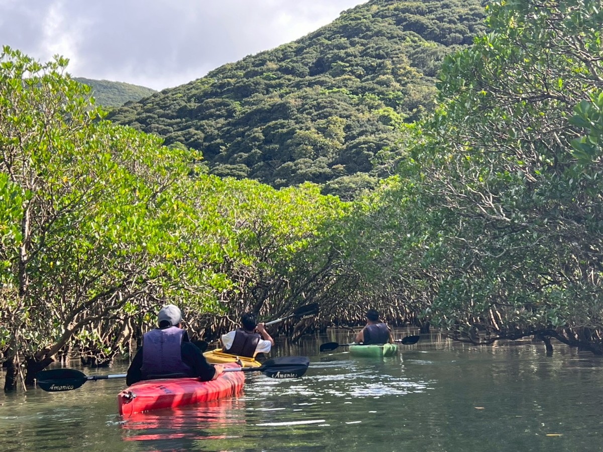 HOLLY CAMP CASA - 11