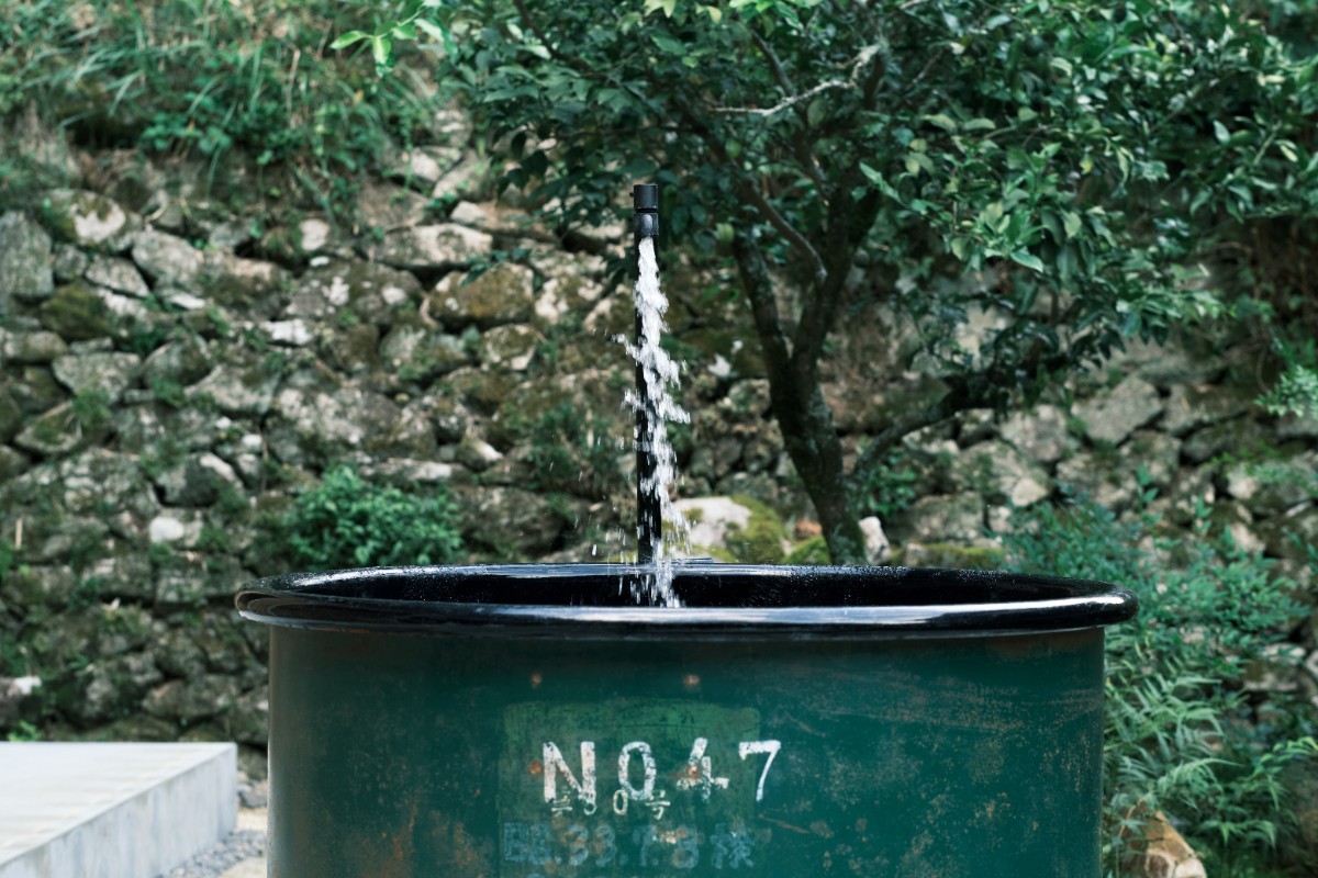 地域の脈を感じるディナー＆サウナ体験プラン【日帰り】 - 4