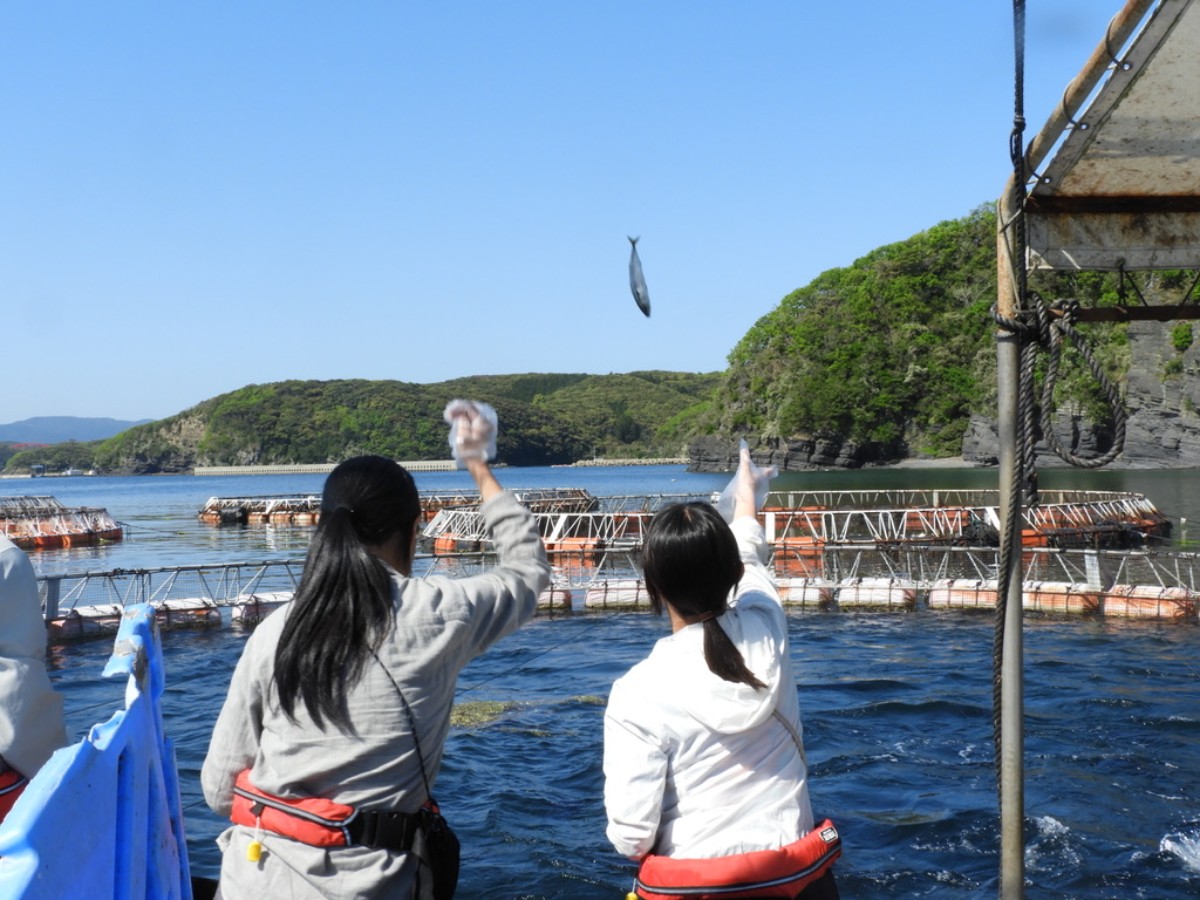 【海遊記ツアー】海を遊ぶ体験プラン