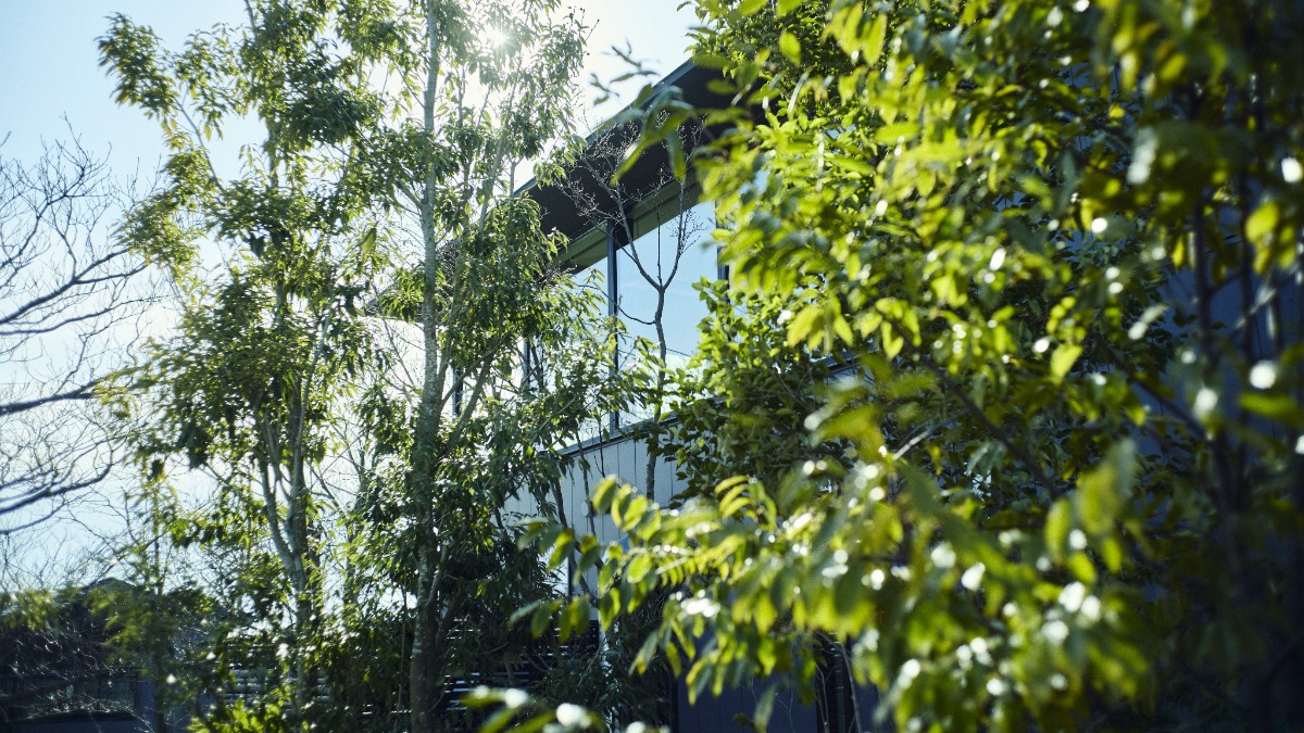 【開業期特別20％OFF】１棟貸しプラン - 3