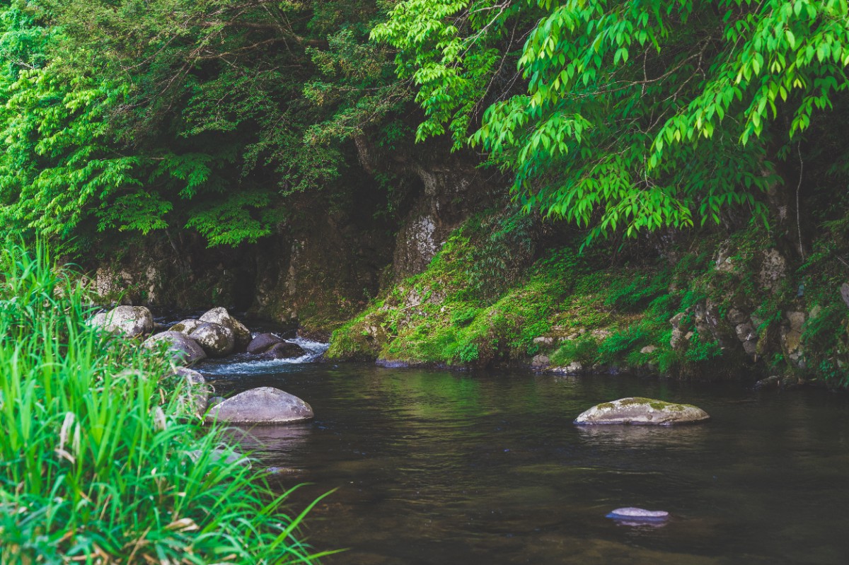 【公式】一棟貸しsauna&villa Higenos（ヒゲノス） - 3