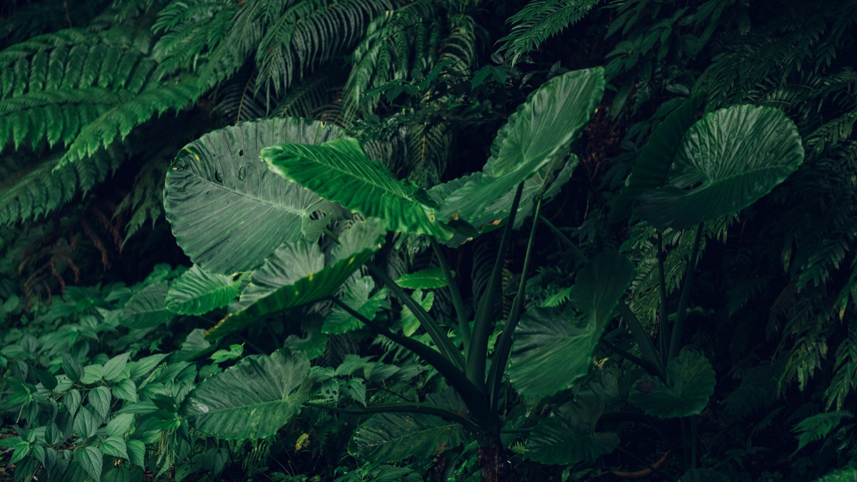 月星日 TSUKIHOSHIHI.Stay - 7