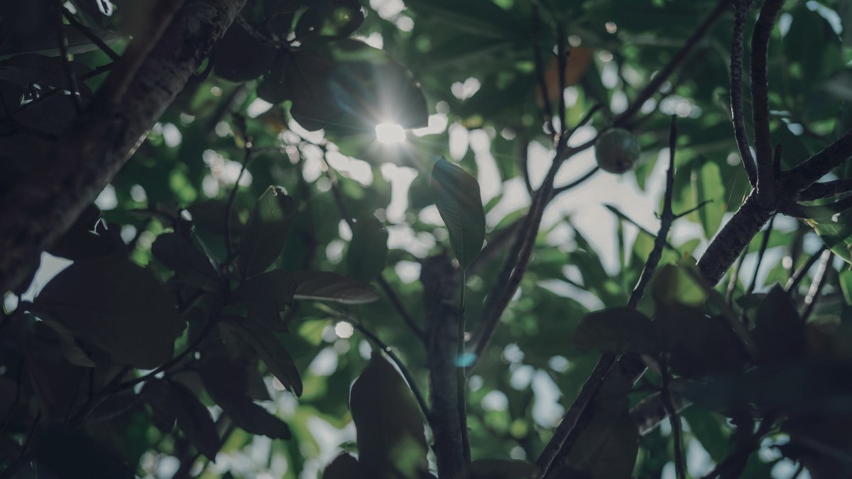 Standard Stay（1 night） - 6