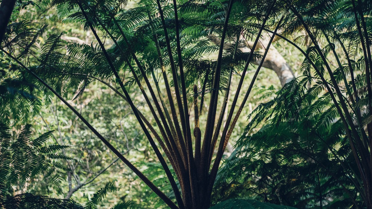 Standard Stay（1 night） - 7