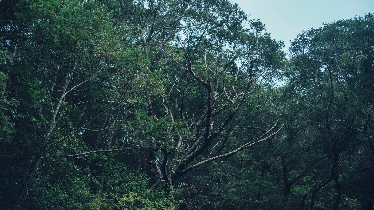 Standard Stay（1 night） - 8