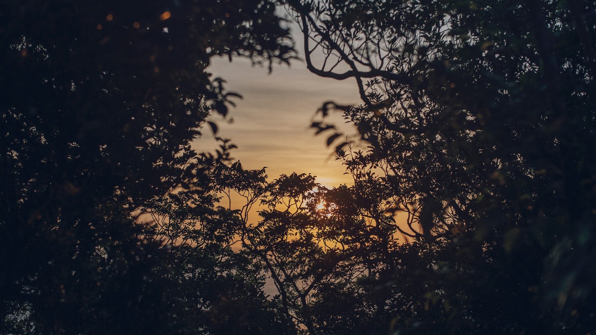 Standard Stay（1 night） - 9