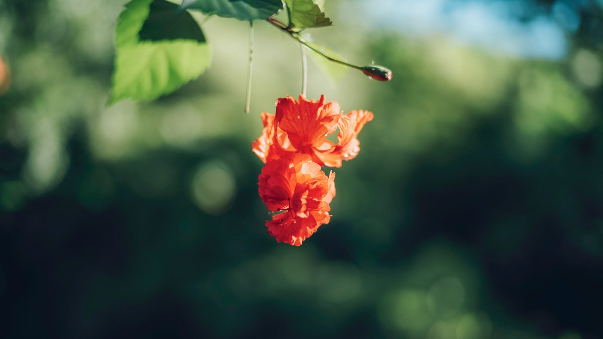 Standard Stay（1 night） - 10