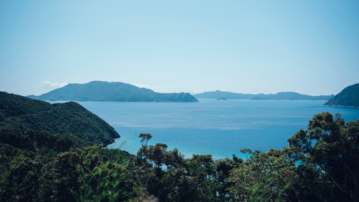 Standard Stay（1 night） - 11