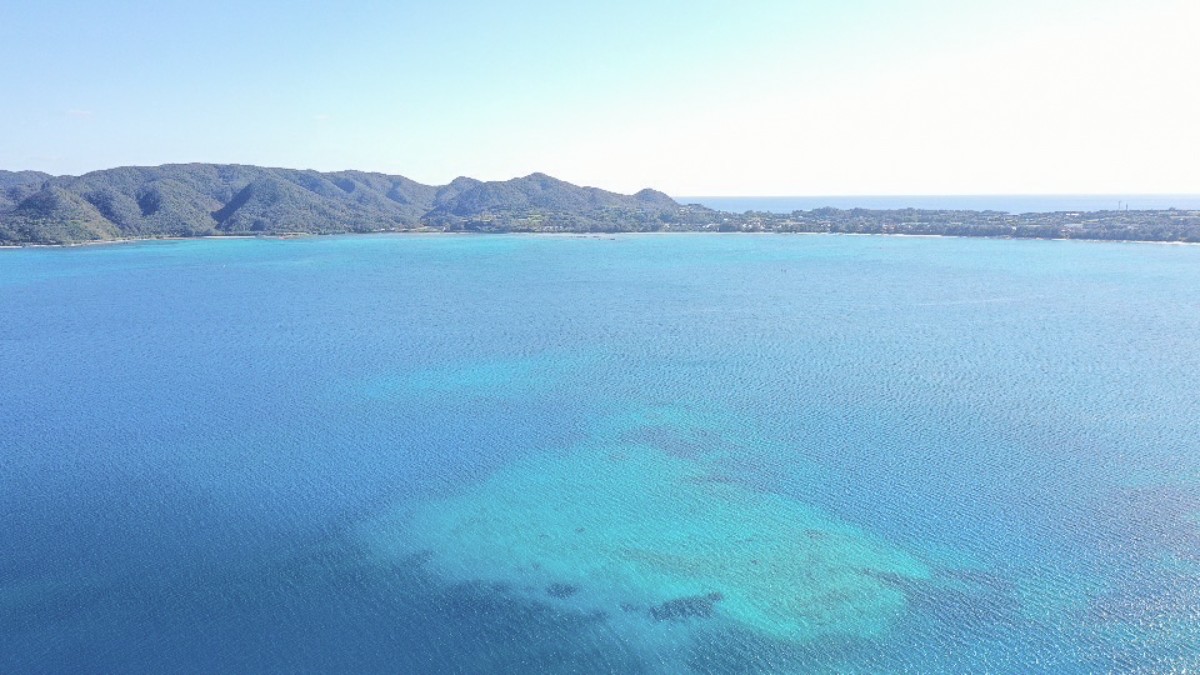 Standard Stay（1 night） - 12