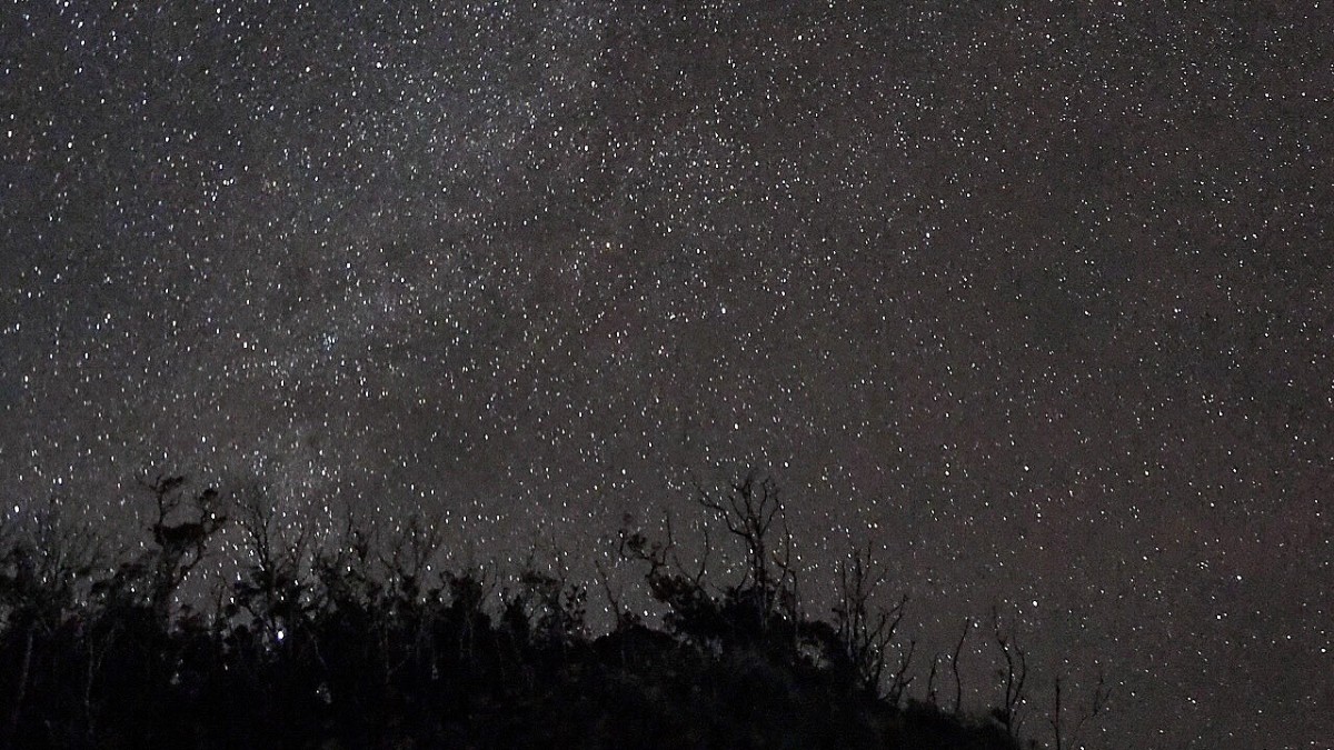 Standard Stay（1 night） - 16