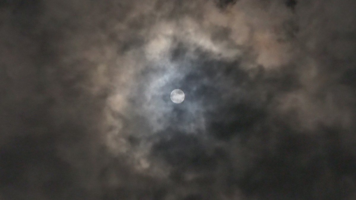 Standard Stay（1 night） - 17