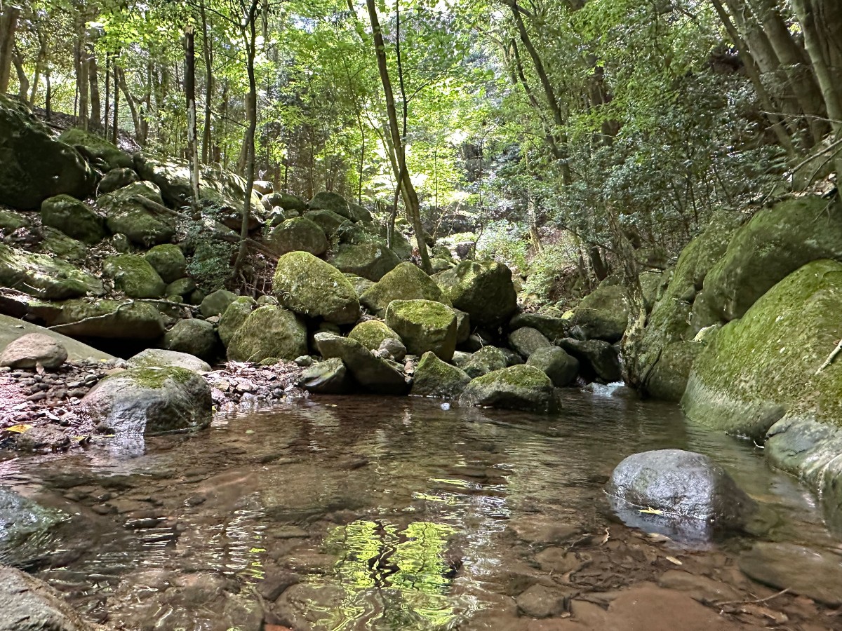 autocamp MOGURA