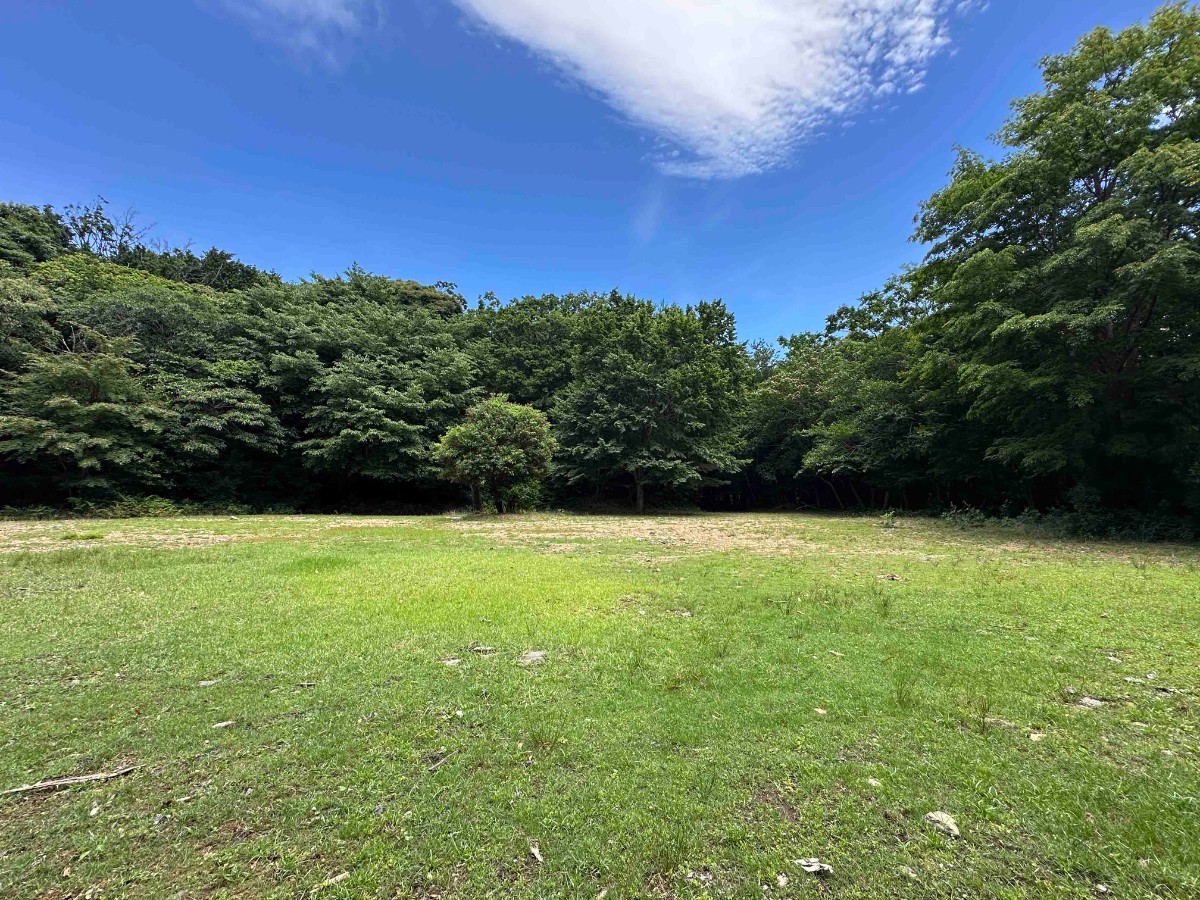 autocamp MOGURA