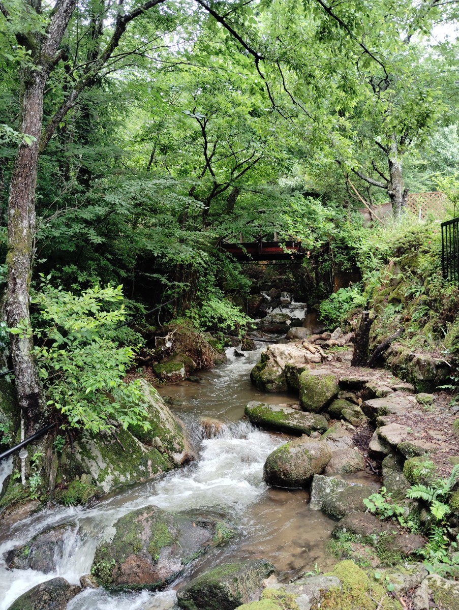 遊泊るり渓　コテージ　1棟貸 - 8
