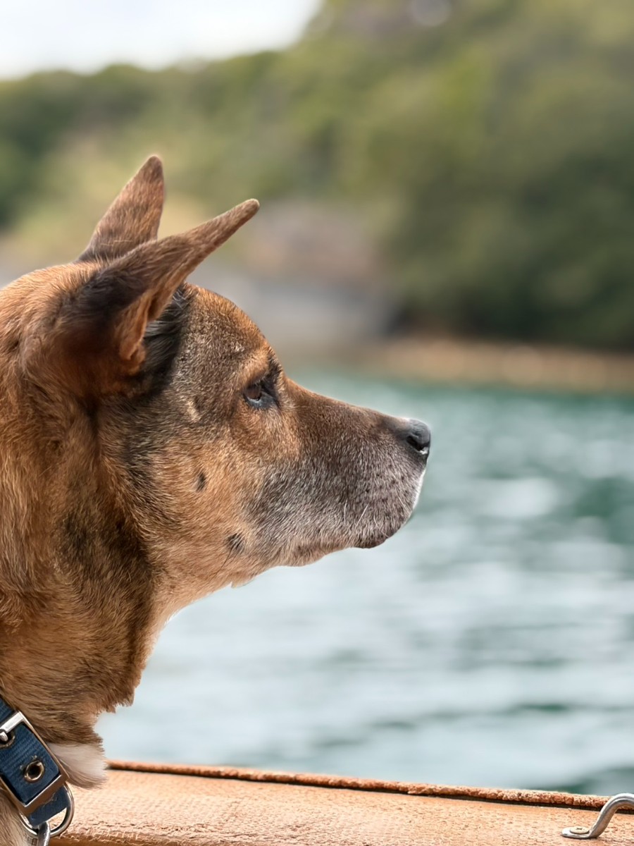 子どもの城＠伊勢志摩 - 5