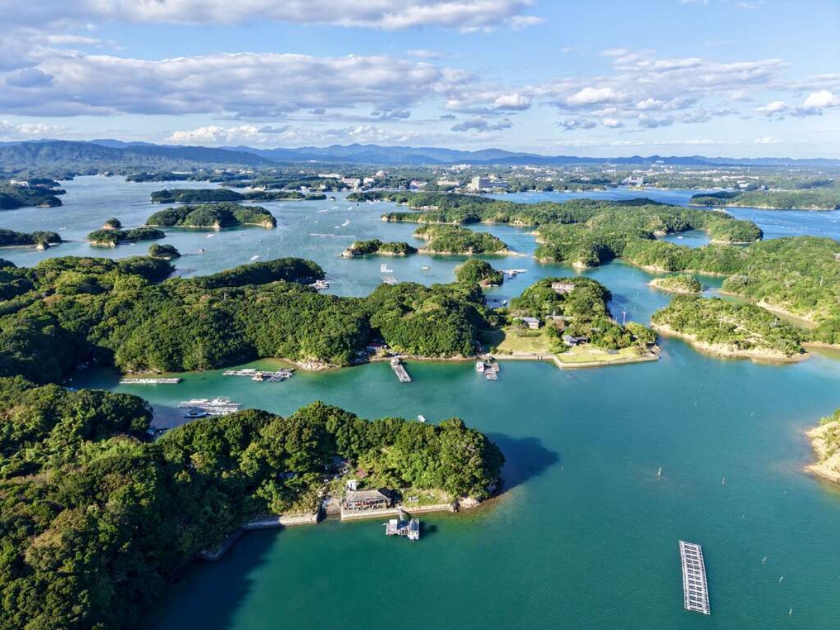 子どもの城日帰り体験