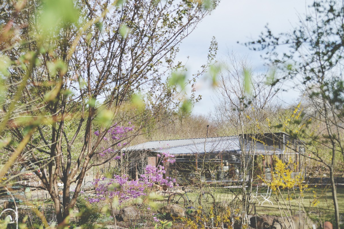 デコ・ボタニカル - 2