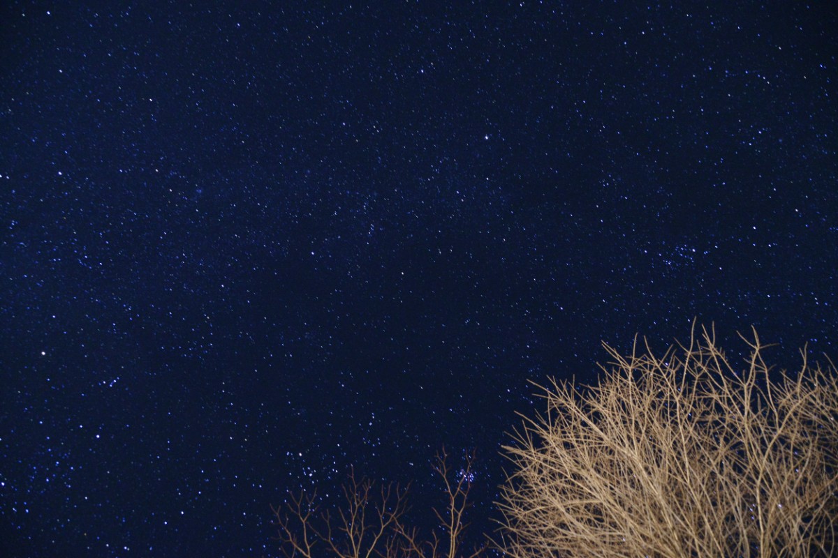 デコ・ボタニカル - 7